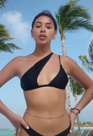 4. Elegant Alexia García in Black Bikini at the Beach