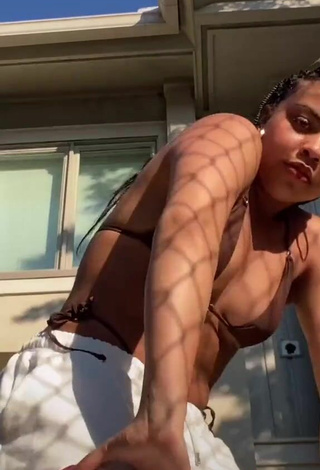 3. Hot Syera Plitt Shows Cleavage in Brown Bikini Top