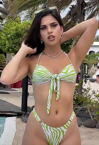 4. Gorgeous Victoria Caro in Alluring Zebra Bikini at the Swimming Pool