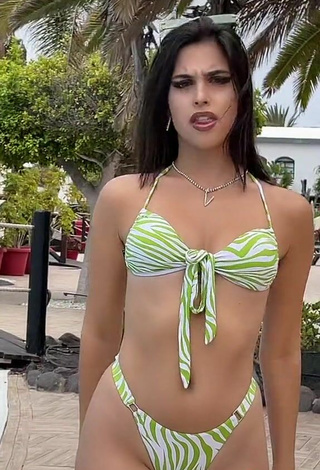 5. Gorgeous Victoria Caro in Alluring Zebra Bikini at the Swimming Pool