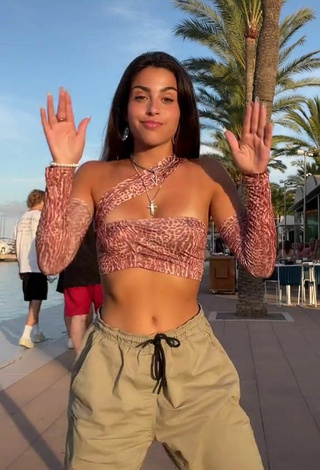 2. Sexy Victoria Caro Shows Cleavage in Leopard Crop Top at the Seafront