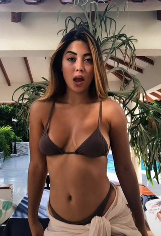 Sexy Aleja Villeta Shows Cleavage in Brown Bikini at the Swimming Pool