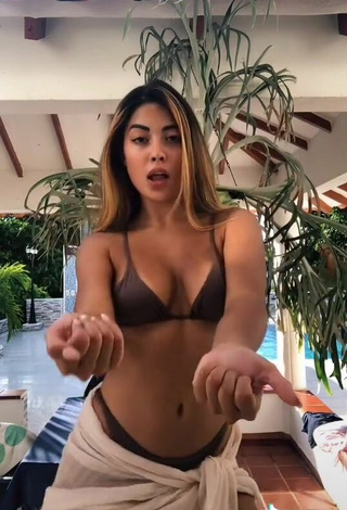 3. Sexy Aleja Villeta Shows Cleavage in Brown Bikini at the Swimming Pool