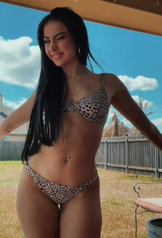 Hottie Jillian Fox in Leopard Bikini