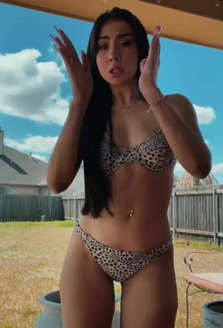 4. Hottie Jillian Fox in Leopard Bikini