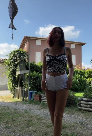 6. Sexy Linda Stabilini Shows Cleavage in Zebra Crop Top