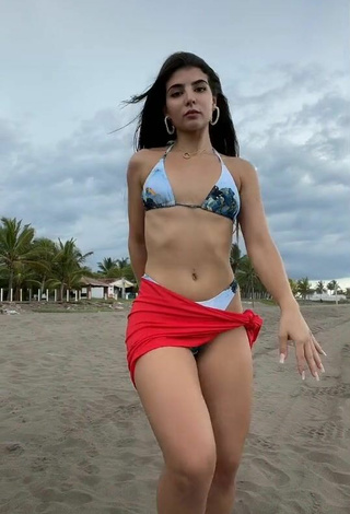 4. Cute Adriana Daabub in Bikini at the Beach