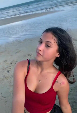 4. Sweetie Lianet Jacinto Shows Cleavage in Red Crop Top at the Beach