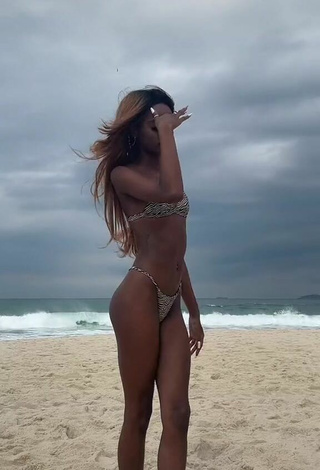 Beautiful diveludo Shows Cleavage in Sexy Zebra Bikini at the Beach
