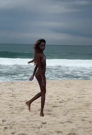 3. Beautiful diveludo Shows Cleavage in Sexy Zebra Bikini at the Beach