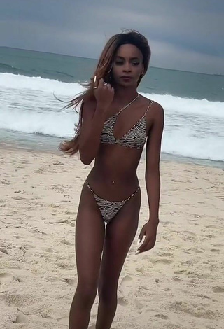5. Beautiful diveludo Shows Cleavage in Sexy Zebra Bikini at the Beach
