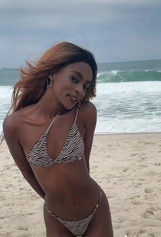6. Beautiful diveludo Shows Cleavage in Sexy Zebra Bikini at the Beach