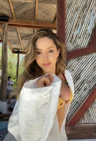 3. Sexy Silvana Araujo Shows Cleavage in Mini Bikini