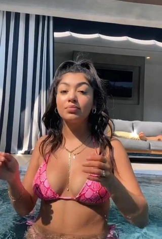 Sexy Jackie Ybarra in Snake Print Bikini at the Pool
