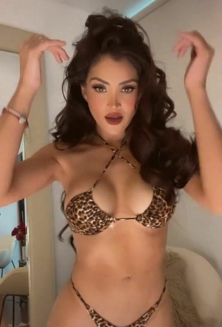 4. Sexy Micheille Soifer in Leopard Bikini
