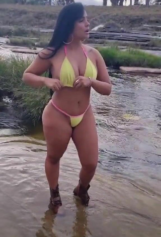 Renee Blimgiz Shows Cleavage in Seductive Yellow Bikini at the Beach