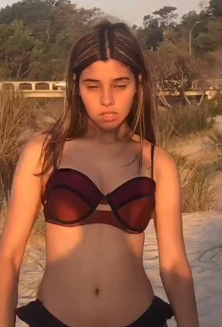 2. Sweetie Luciana in Brown Bikini at the Beach