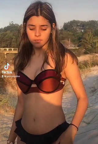 Sexy Luciana in Brown Bikini at the Beach
