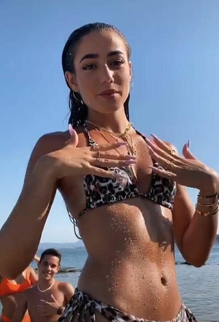 3. Sensual Lola Moreno Marco in Leopard Bikini at the Beach
