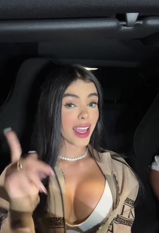 5. priv_mav Demonstrates Fine Cleavage in a Car