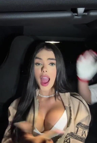 6. priv_mav Demonstrates Fine Cleavage in a Car