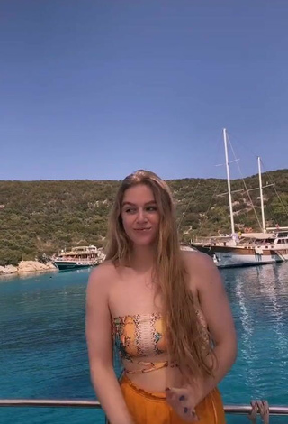 5. Sexy Tessa Bear in Snake Print Bikini Top on a Boat