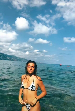 Fine Vanessa Ticalli in Sweet Bikini at the Beach
