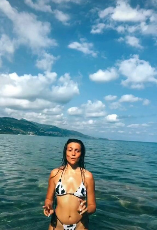 Wonderful Vanessa Ticalli in Bikini at the Beach