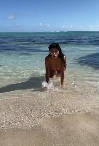Hot Mia Khalifa in Pink Bikini at the Beach