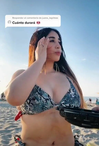 2. Seductive Ana Daniela Martínez Buenrostro in Snake Print Bikini at the Beach