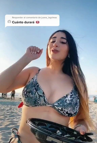 5. Seductive Ana Daniela Martínez Buenrostro in Snake Print Bikini at the Beach