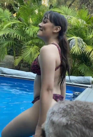 Hot Hailey Orona in Leopard Bikini at the Swimming Pool