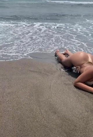 4. Elegant Valeriya Bearwolf in Bikini at the Beach