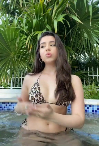 3. Fine Amanda Díaz in Sweet Leopard Bikini at the Pool
