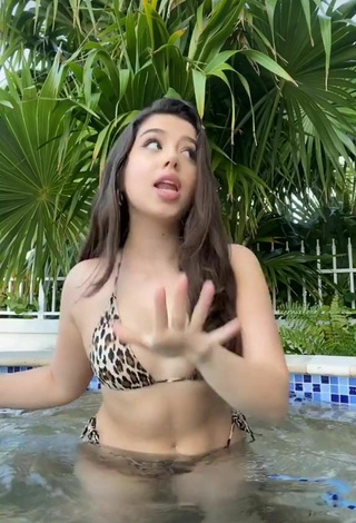 5. Fine Amanda Díaz in Sweet Leopard Bikini at the Pool